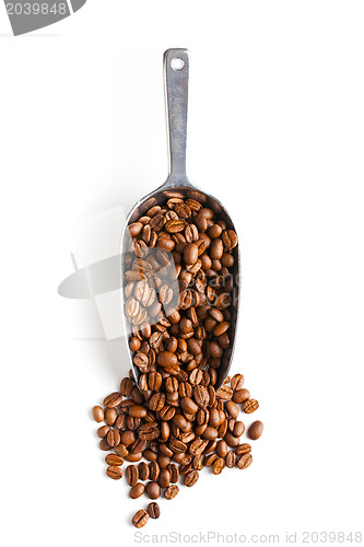 Image of metal scoop with coffee beans