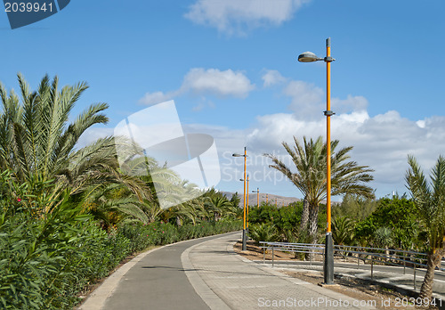 Image of Fuerteventura