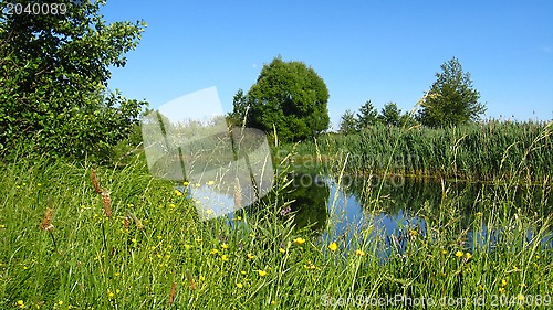 Image of Picturesque lake