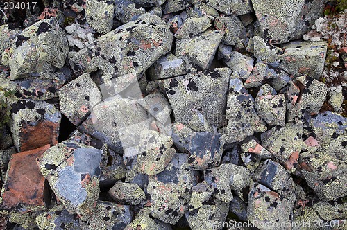 Image of Stone background