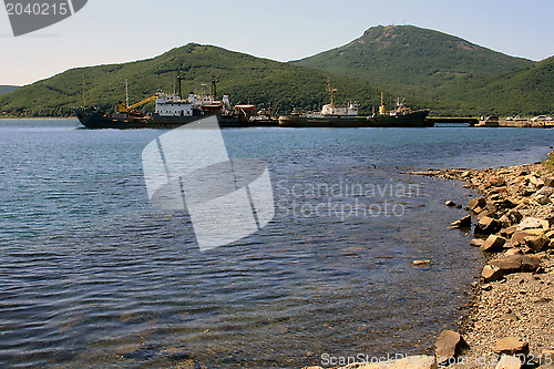 Image of The ships in a bay at a mooring