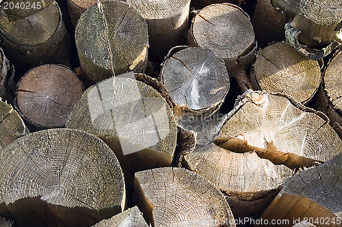 Image of Logs