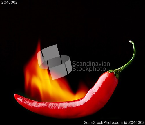 Image of burning red chili pepper