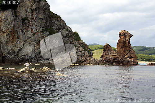 Image of Rock with the name of a bird