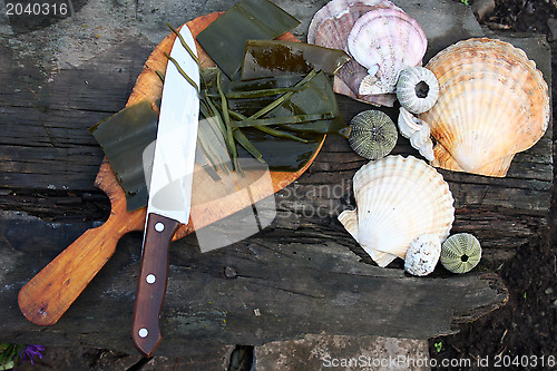 Image of Laminaria - seaweed cut on pieces.