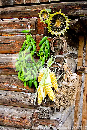 Image of Vegetables on a house wall.