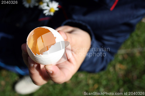 Image of Crude egg