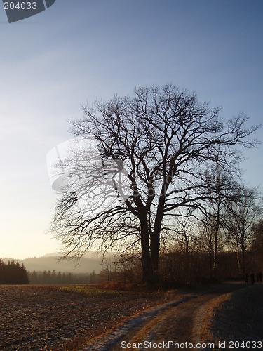 Image of Rural landscape