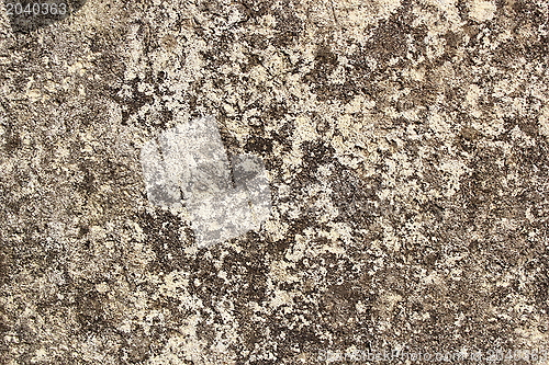 Image of texture of old cement