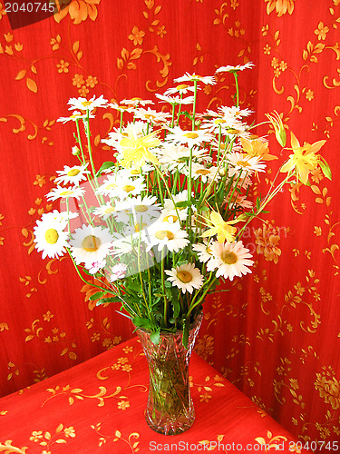 Image of beautiful bouquet with white camomiles