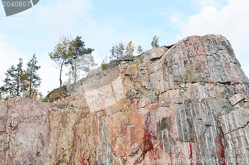 Image of trees on a vertical rock 