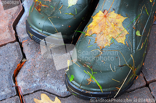 Image of closeup of pai rubber boots with autumn leaves 