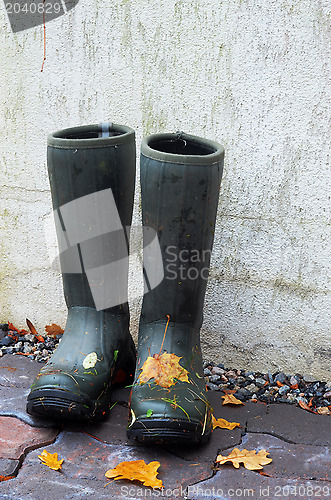 Image of pair of rubber boots with autumn leaves 