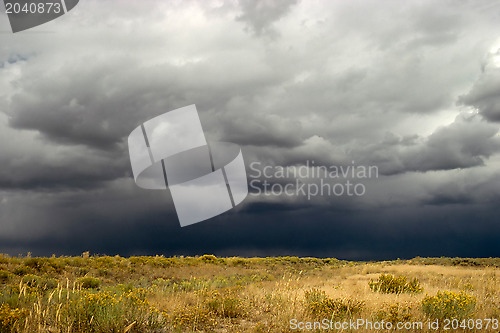 Image of Desert storm