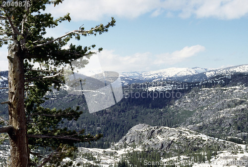 Image of Yosemite National Park