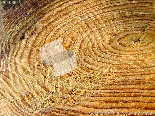 Image of Wooden dark texture