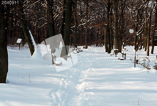 Image of Winter in Park