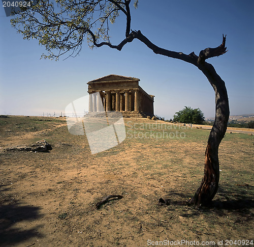 Image of Greek Temple in Agrigento