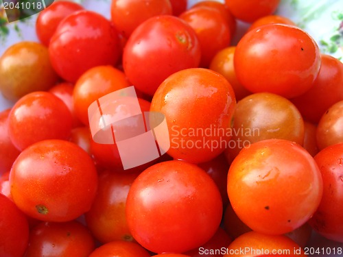 Image of a lot of ripe and red small tomatos