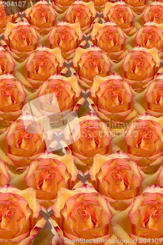 Image of Rosy Background