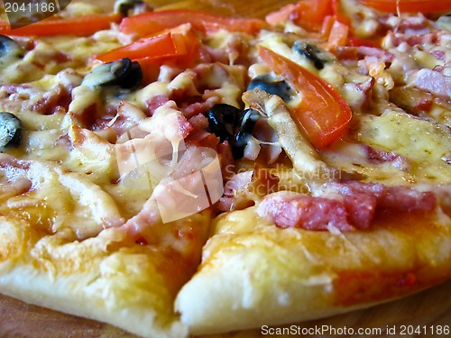 Image of The tasty appetizing pizza