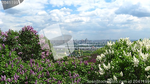 Image of view on the city of Kyiv with bushes of a lilac