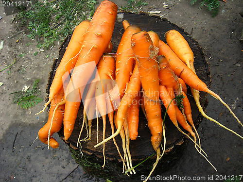 Image of a lot of carrots