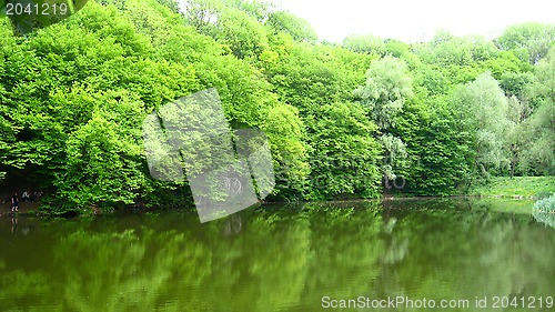 Image of picturesque landscape with river in the forest