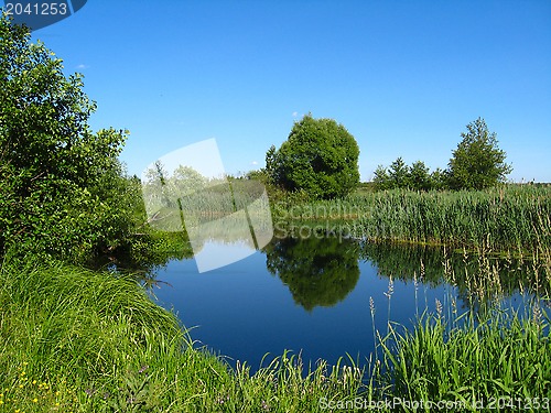 Image of summer landscape with picturesque lake