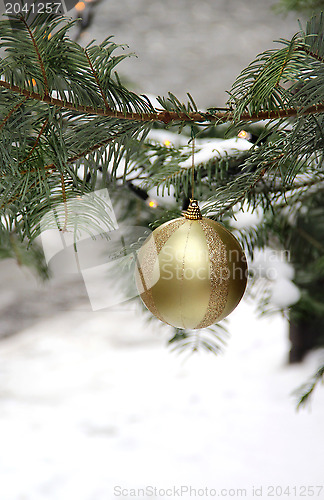 Image of Street Christmas tree 