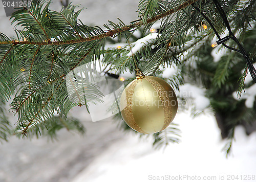 Image of Street Christmas tree 