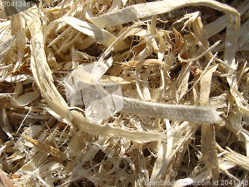 Image of fresh sawdust