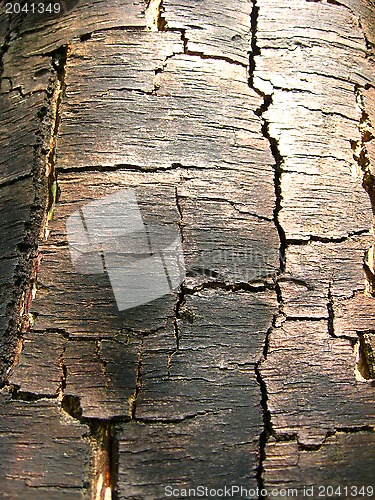 Image of Wooden dark background