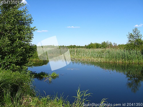 Image of Picturesque lake