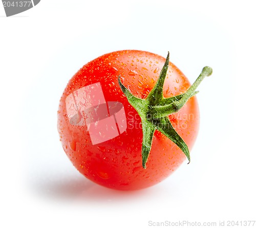 Image of fresh tomato
