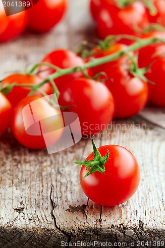Image of fresh tomatoes