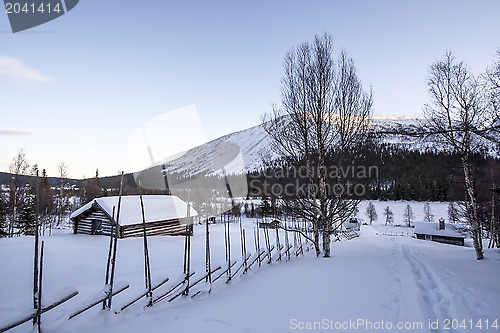 Image of Winter Landscape