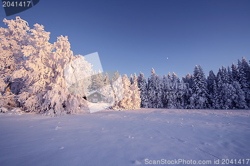 Image of Winter Landscape