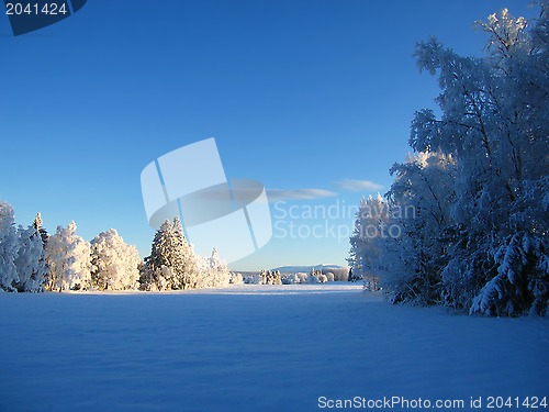 Image of Winter Landscape