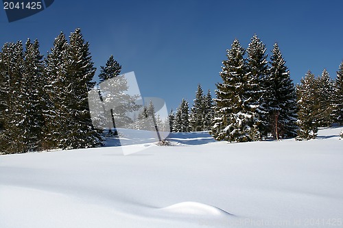 Image of Beautiful winter landscape