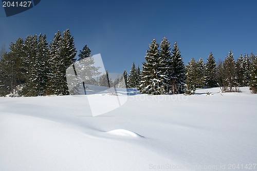 Image of Beautiful winter landscape