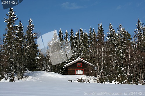 Image of Beautiful winter landscape