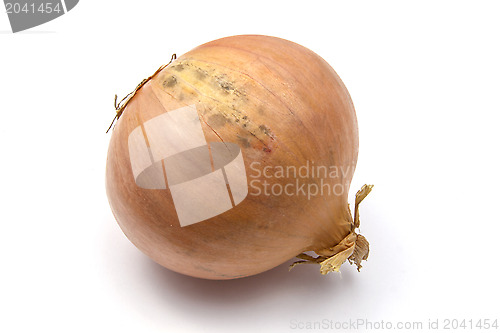 Image of Onions