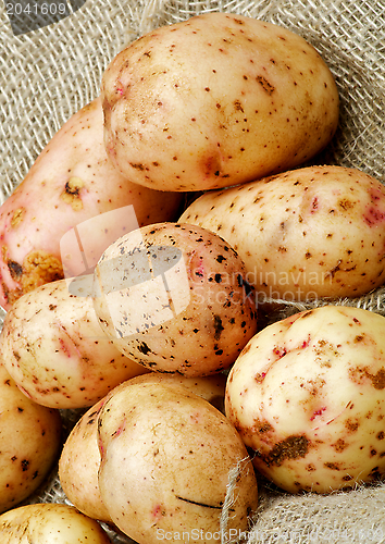 Image of Raw Potato