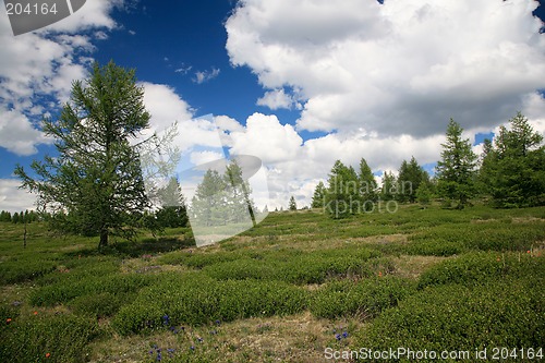 Image of West Sayan Mountains