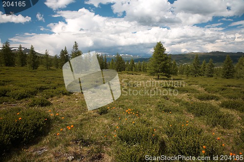 Image of West Sayan Mountains