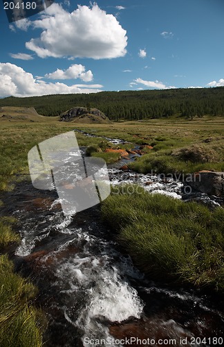 Image of Alpine stream