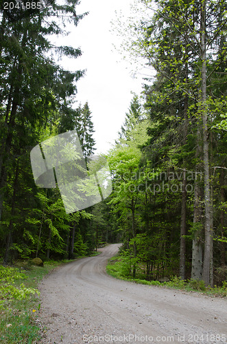 Image of Winding road