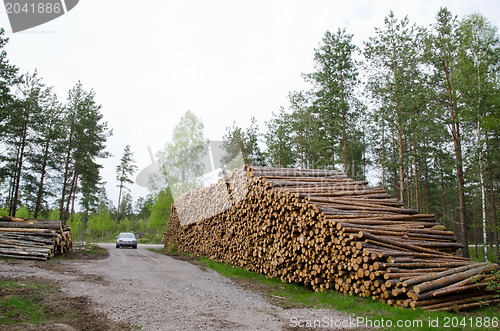 Image of Timber stacks