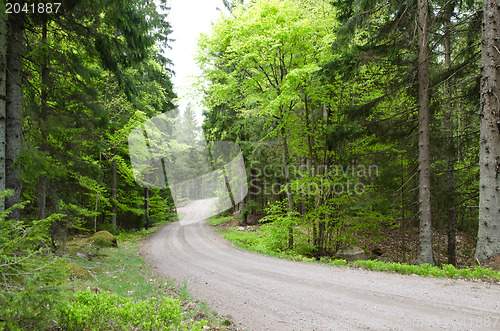 Image of Beech road